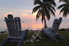 329209924_860651121682777_7427140650618274596_n