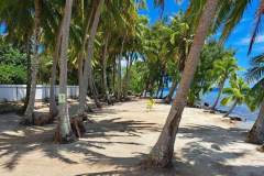 329678250_586710793516173_9050430943519436729_n