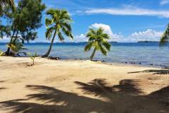 331836917_1876735216039579_5611085414121577812_n