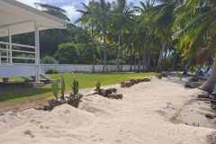 IMG-54ea750c4f1a7bcd9a503733ac306a1a-V