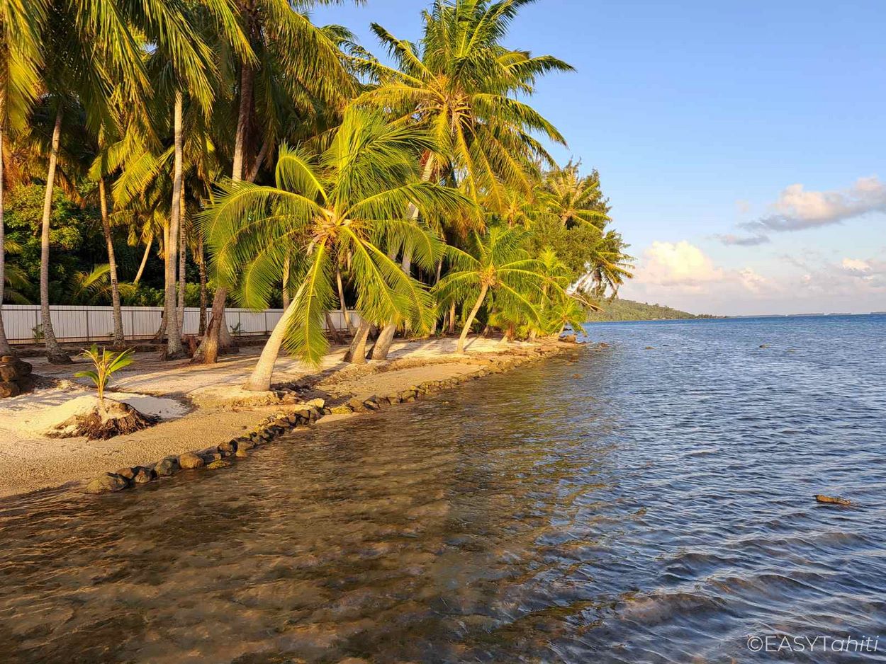 Plage privée à Taha'a en Polynésie - Tahiti et ses îles